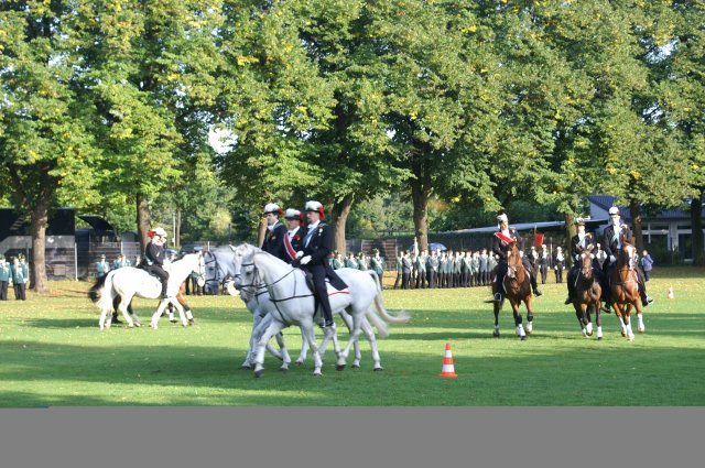 Quadrille 2008