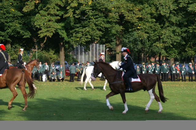 Quadrille 2008