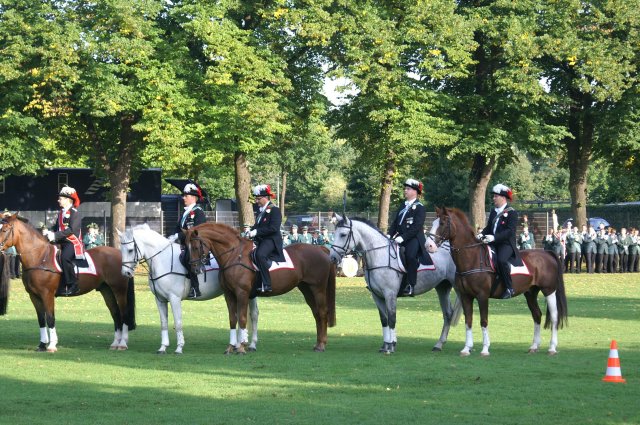 Quadrille 2008