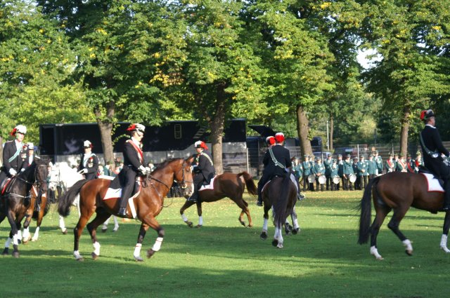 Quadrille 2008