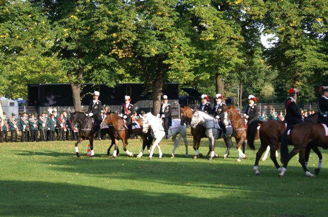 Quadrille 2008