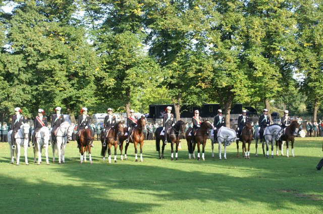 Quadrille 2008