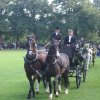Quadrille 2008