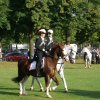 Quadrille 2008