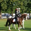 Quadrille 2008