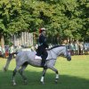 Quadrille 2008