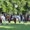 Quadrille 2008