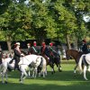 Quadrille 2008