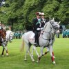 Schützenfest 2015 - Reiterzug