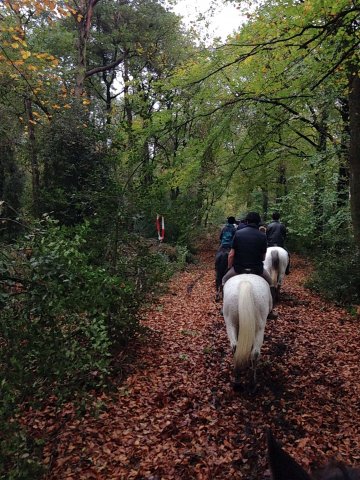 Herbstausritt 2013 