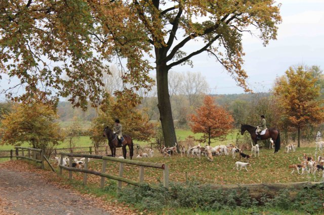 Herbstausritt 2016